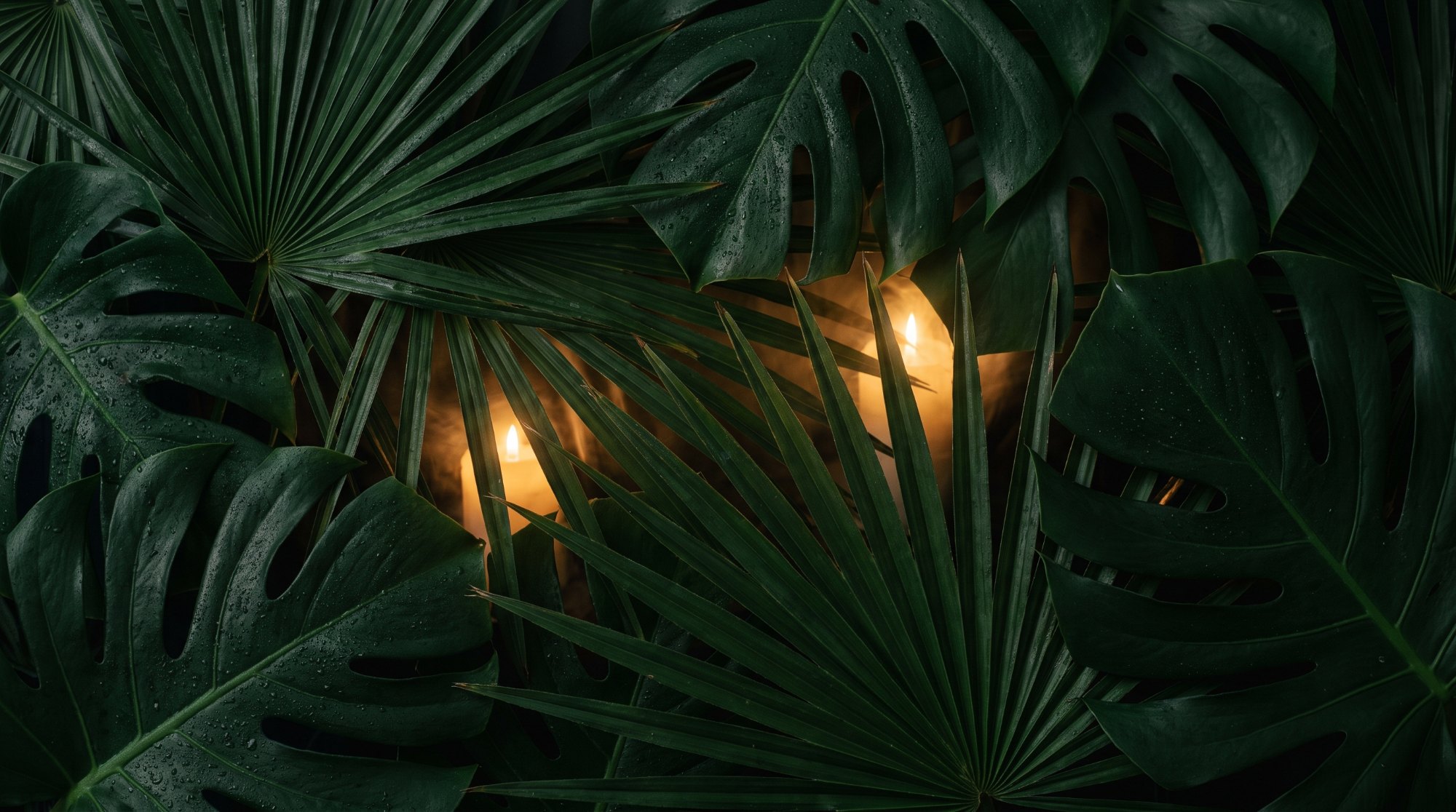 Glamorous evening at Monarca — jungle-inspired fine dining and cocktails in Gastown, Vancouver